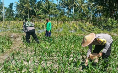 Polres Lumajang Terjunkan Personel  Penggerak Ketahanan Pangan Dampingi Warga Tani